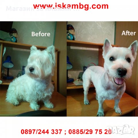 Машинка за подстригване на кучета и котки - модел Р2, снимка 2 - Други стоки за дома - 28815263