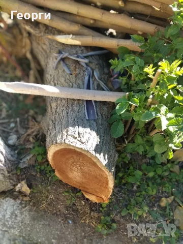 Продавам сух орехов материал, снимка 3 - Дърва за огрев - 47680327