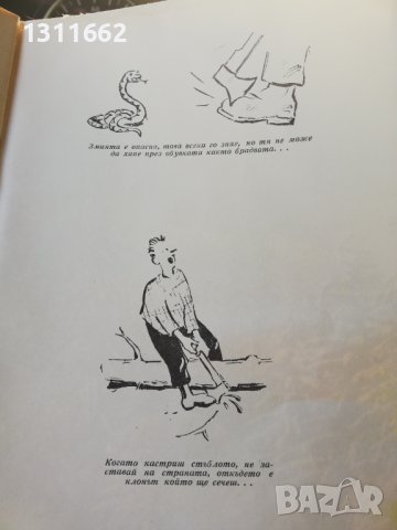 Горско стопанство - списание 1965 година, снимка 4 - Специализирана литература - 43550749