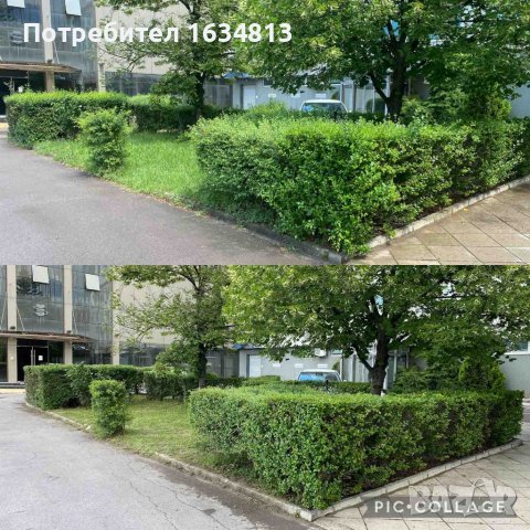  косене на трева,  поддържане на дворове,  премахване на храсти, снимка 11 - Почистване на домове - 28640600