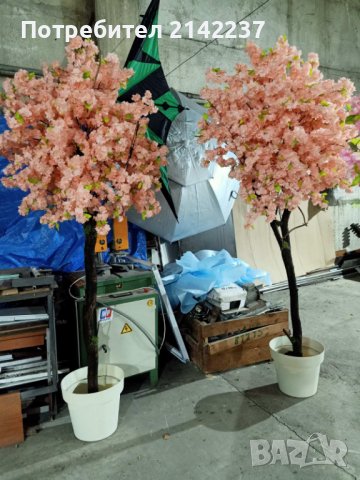 Изкуствени дръвчета японска вишна, снимка 18 - Градински цветя и растения - 40157119