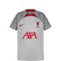 Детска тениска Nike Liverpool F.C. Strike DR4631-015