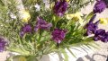 Продавам цветя Ириси, ниски, жълти и тъмно сини, снимка 7