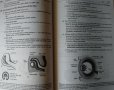 Embryology: Board, Review, Series Ronald W. Dudek, James D. Fix 1995 г., снимка 7