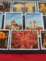 Пощенски марки серия Растения, Гъби стари редки за колекция декорация - 22024, снимка 3