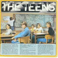 The Teens -Rock Band-Грамофонна плоча-LP 12”, снимка 2 - Грамофонни плочи - 36395947
