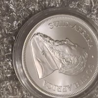 Кругеранд 1 oz silver, снимка 2 - Нумизматика и бонистика - 43172948