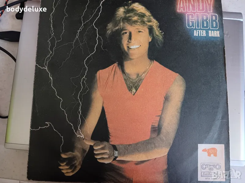 ANDI GIBB ''AFTER DARK" грамофонна плоча, снимка 1