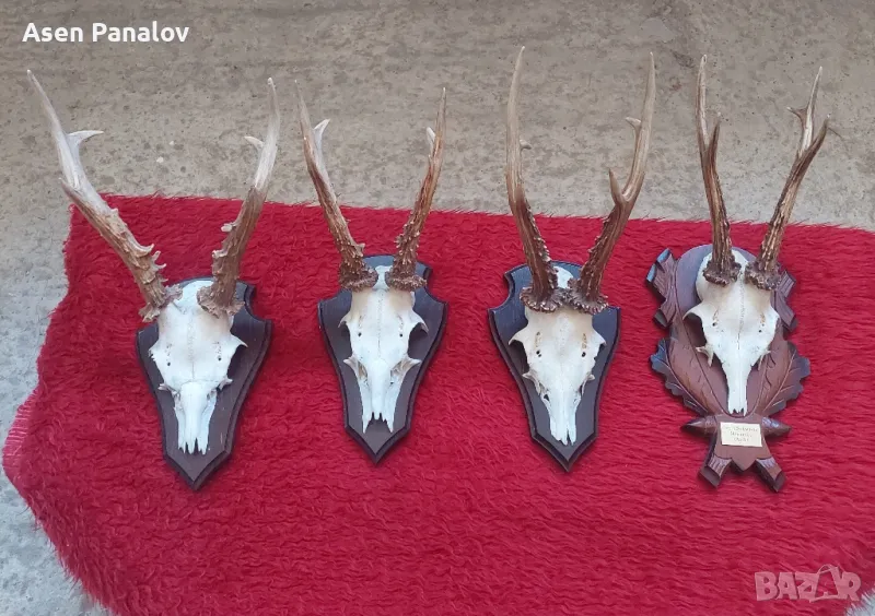 Трофей 4 бр, снимка 1