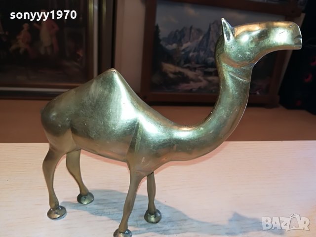 камила-мед/месинг-внос швеция 1307211247, снимка 2 - Колекции - 33506153