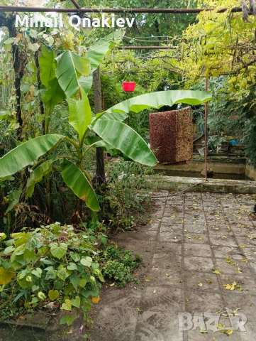ПРОДАВА СЕ!, снимка 4 - Къщи - 52008773