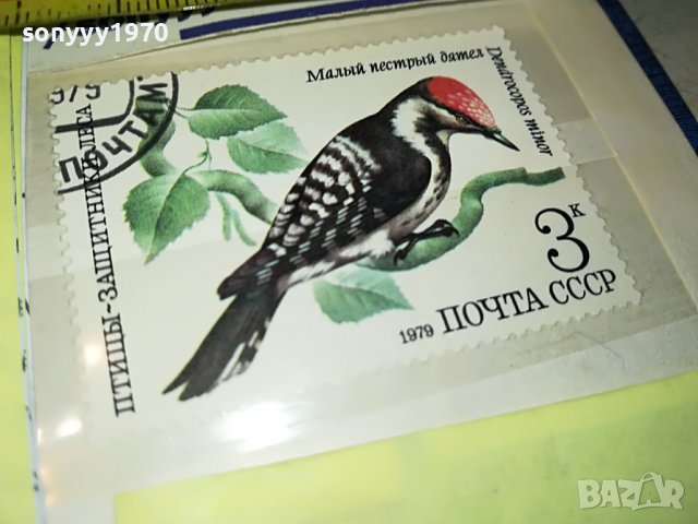 МАРКА 15 1979 СССР 1603231636, снимка 9 - Филателия - 40024353