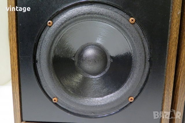 Allison Acoustics LC-110, снимка 2 - Тонколони - 40192374