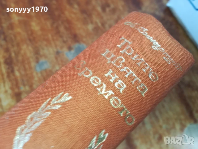 ТРИТЕ ЦВЯТА НА ВРЕМЕТО 1607251614LCHERY, снимка 10 - Художествена литература - 51041840