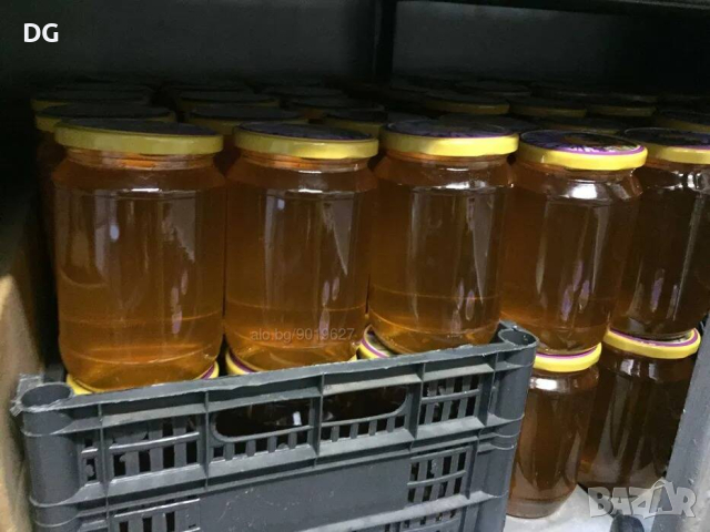 Домашен пчелен мед от производител, снимка 5 - За пчели - 44853660