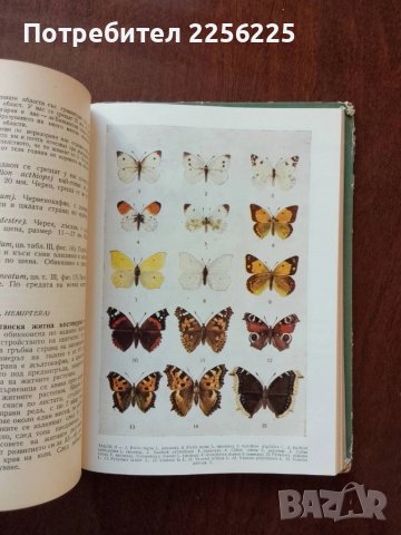 Полска практика по зоология, снимка 2 - Специализирана литература - 50453504