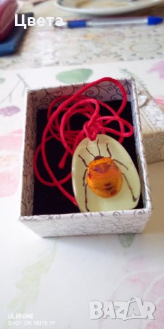 Медальон  от естествен монголски бръмбар, снимка 6 - Колиета, медальони, синджири - 32587743