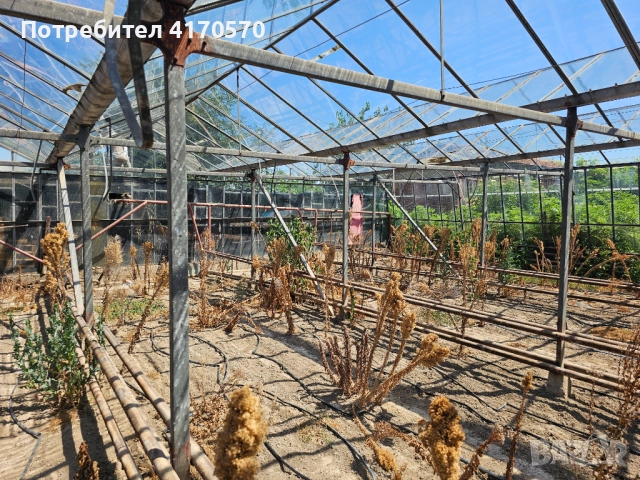 Продава се стъклена оранжерия, снимка 9 - Оранжерии - 51654998
