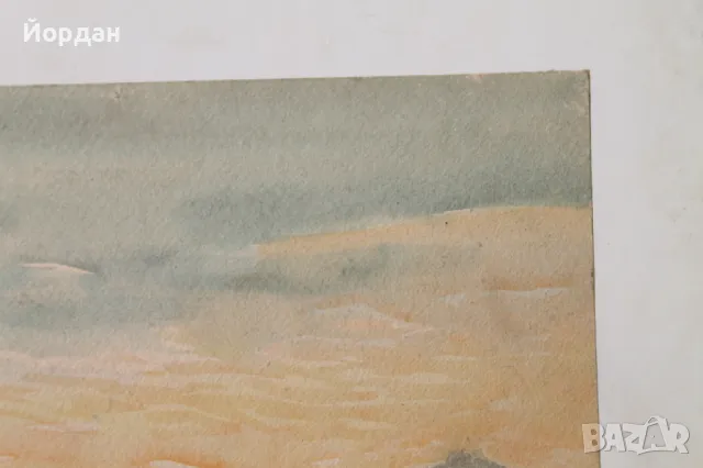 Акварел /автор-Никола Пилчев/ ''Старопланинска черешарка'', снимка 8 - Картини - 49131538