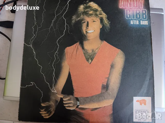 ANDI GIBB ''AFTER DARK" грамофонна плоча