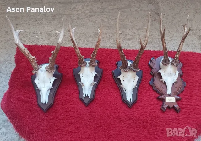 Трофей 4 бр, снимка 1