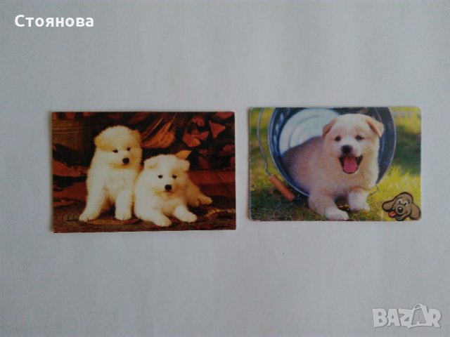 Календарчета - 1991 г., 1994 г.,2003г.,2005 г., 2006 г., 2008 г., 2009 г., 2011 г., 2012 г. 2016 г. , снимка 12 - Колекции - 33070132