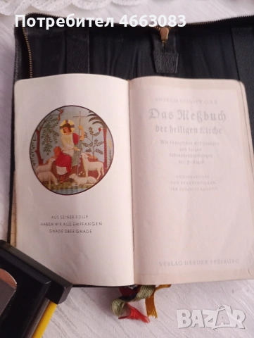 СТАРА БИБЛИЯ , снимка 3 - Антикварни и старинни предмети - 53022291