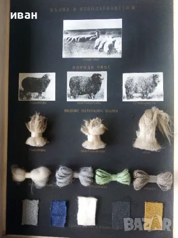 Кутия "Вълната и използването и", снимка 2 - Други ценни предмети - 47497219