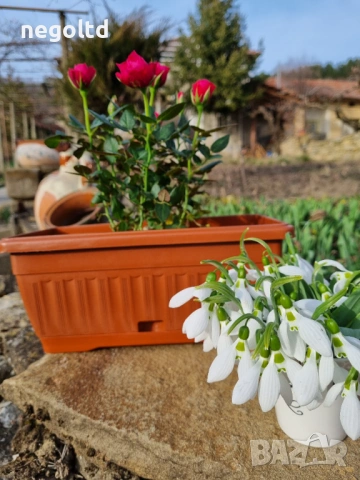 ПРОМОЦИЯ 8 БРОЯ за 19.90 !!! Пластмасово сандъче за цветя с подложка 30 см. За градината 