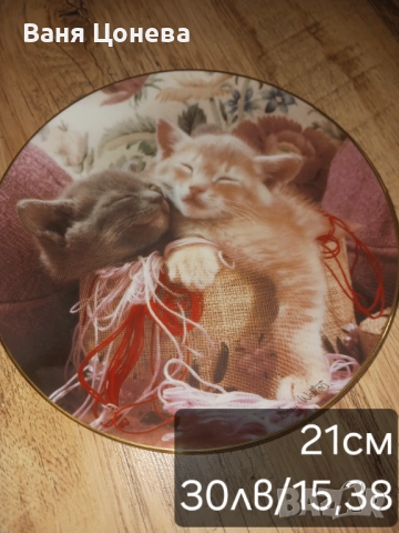 Порцеланова чиния за декорация