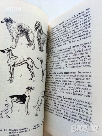Знаете ли всичко за кучето - В.Денков,Я.Караджов - 1992г., снимка 3 - Други - 50925747