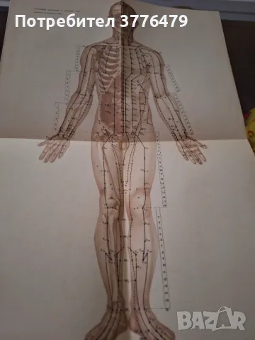 Ръководство по рефлексотерапии, снимка 6 - Специализирана литература - 47524203