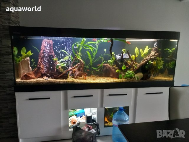 Изработка на аквариуми и терариуми, снимка 17 - Аквариуми - 13267769