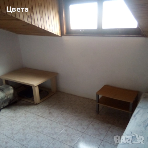 Под наем таванска стая.