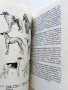 Знаете ли всичко за кучето - В.Денков,Я.Караджов - 1992г., снимка 3