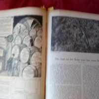   Wid and hund немско ловджийско списание 1930 - 1937 г, снимка 8 - Антикварни и старинни предмети - 37319252