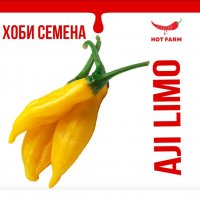 Aji Limo – Сортът “Aji Limo”, известен още като Aji Lemon, Aji Lemon Drop, Aji Hot Lemon, Peru Yello, снимка 1 - Домашни продукти - 39510468