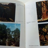 Христоматия по Биология - Ботаника том2 - 1985г., снимка 6 - Други - 38038328