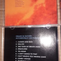 Компакт дискове на - Roger Glover - Snapshot 2002/Ian Gillan & Roger Glover– Accidentally, снимка 3 - CD дискове - 43045247
