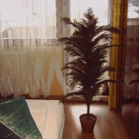 Изкуствена палма , кашпи, снимка 6 - Изкуствени цветя - 38864001