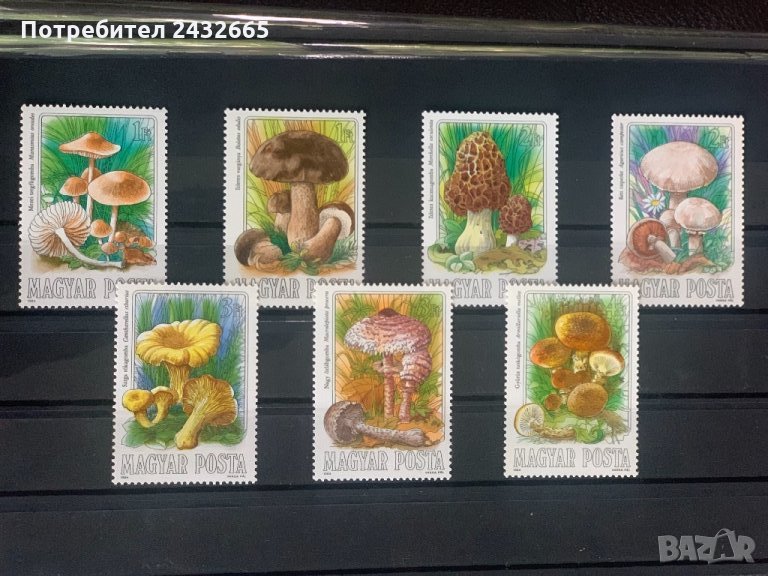 646. Унгария 1984  = “ Флора. Гъби. “,**,MNH, снимка 1
