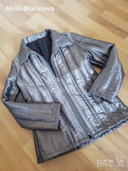 Сиво Лъскаво яке, снимка 1