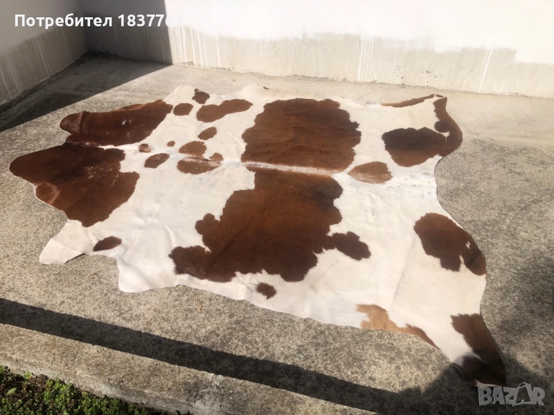 Телешка кожа , снимка 1