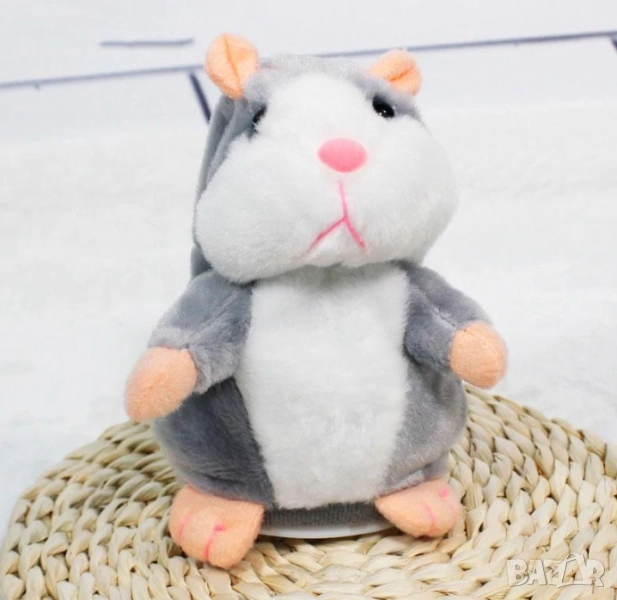   Говорещ и танцуващ хамстер , снимка 1