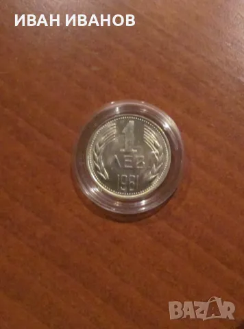 Пълен сет разменни монети 1981 година, снимка 3 - Нумизматика и бонистика - 46975923