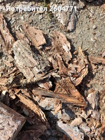 Борови кори мулч и тор 70 л, снимка 4 - Градински цветя и растения - 32978173