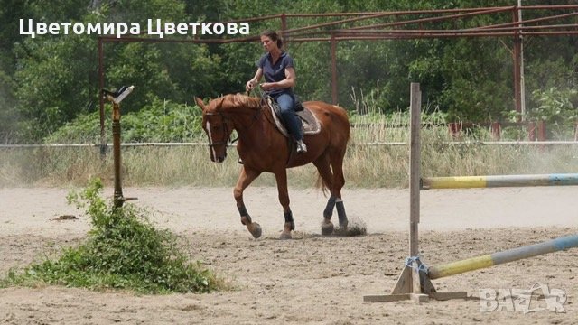 ЕЗДА,КОНЕН СПОРТ в гр.София❤️, снимка 3 - Други спортове - 33547312