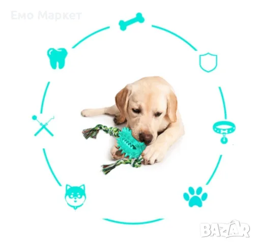 Играчка кактус – четка за зъби за домашни любимци, снимка 5 - За кучета - 49213886