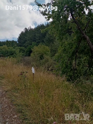 Продавам парцел в село Люлин , снимка 3 - Парцели - 51467133