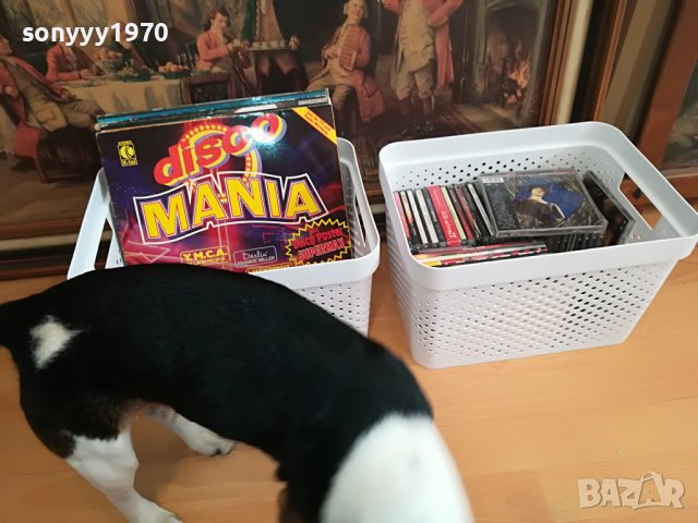 кутия за плочи дискове касети 36х26х22см 2610221329, снимка 10 - Грамофонни плочи - 38458806